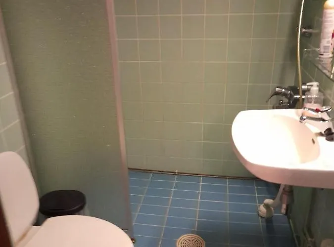 Wiikki Majatalo 3* Viitasaari