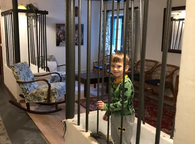 Wiikki Majatalo 3* Viitasaari