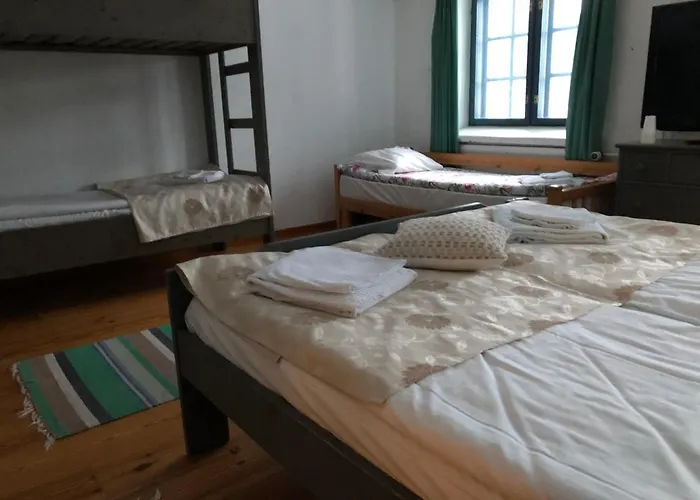 Wiikki Majatalo Viitasaari