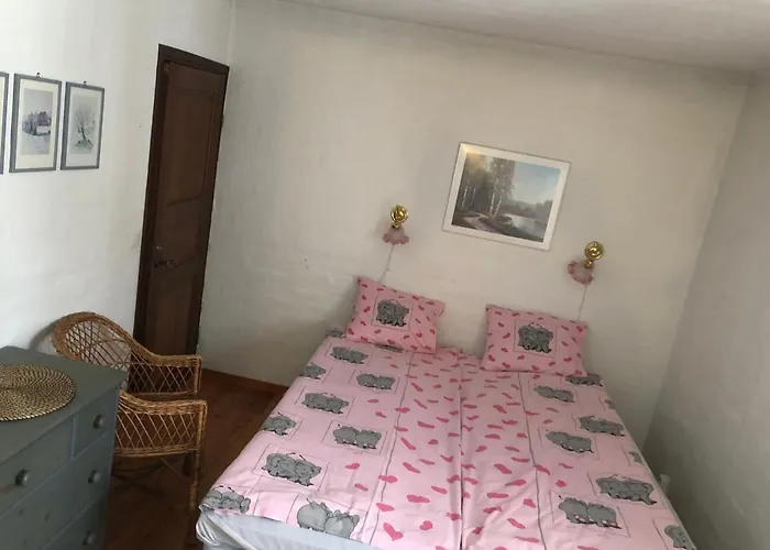 Wiikki Majatalo Viitasaari